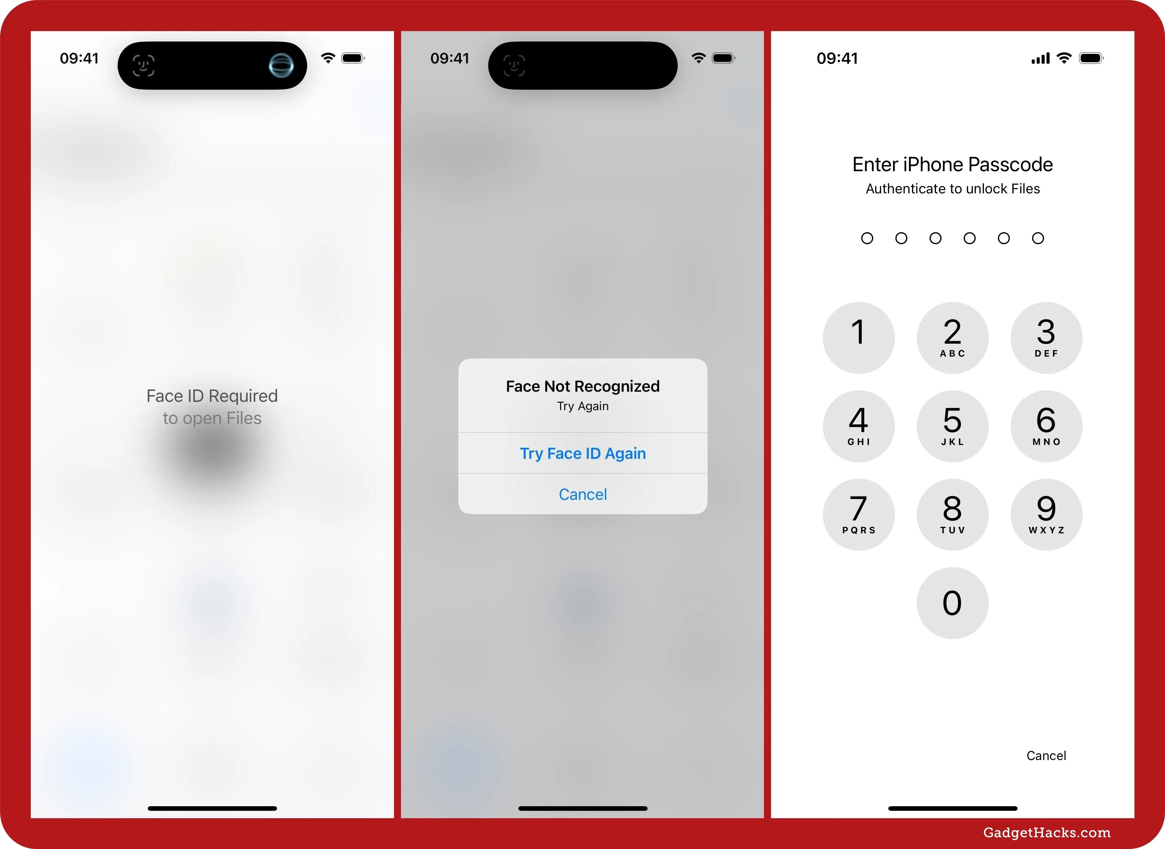 Three screenshots; Face ID Required screen on an iPhone, a Face Not Recognized warning with Try Face ID again option, and the Enter iPhone Passcode keypad after failed authentication.