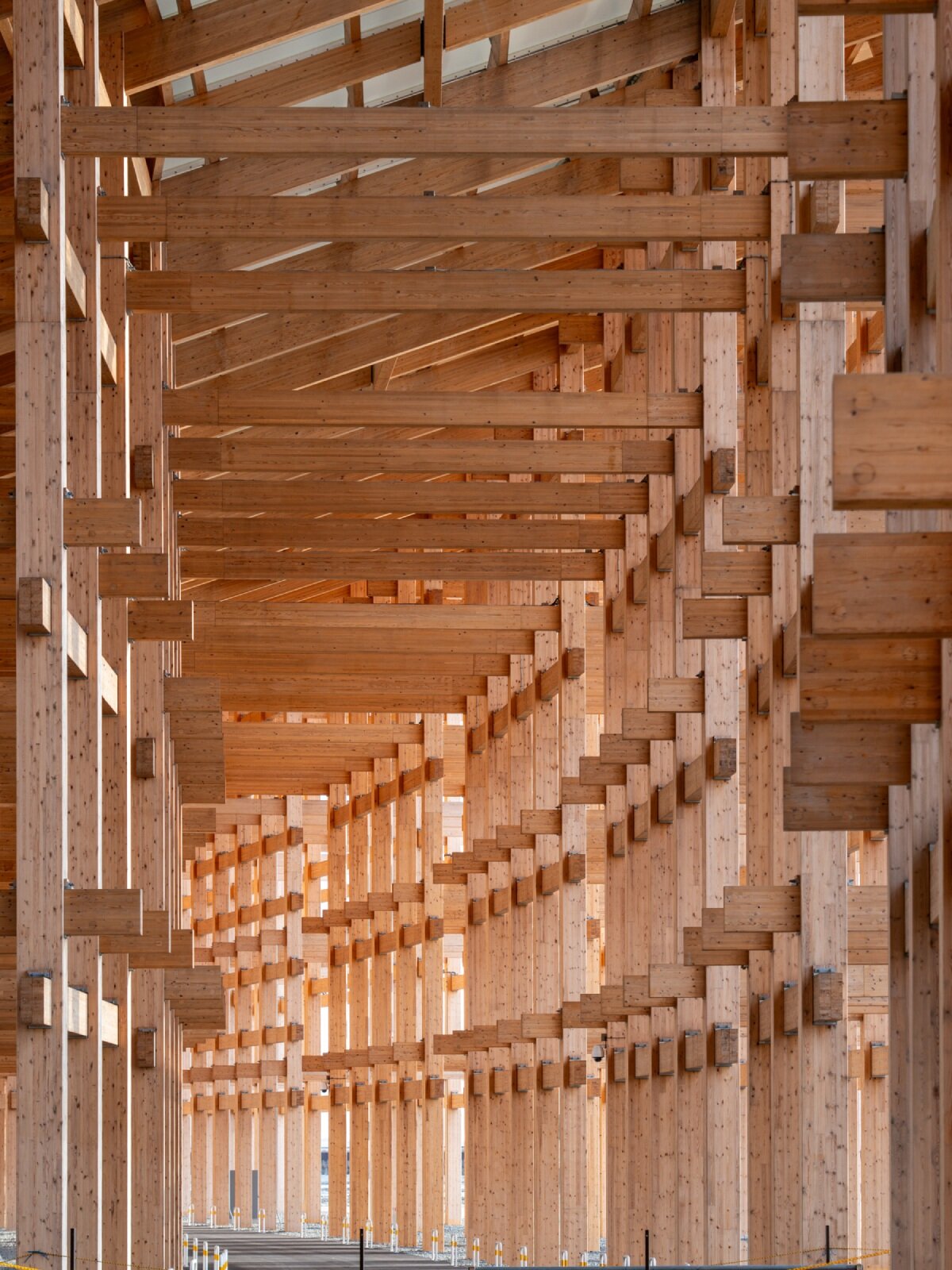william mulvihill captures material intricacy of sou fujimoto’s grand ring at expo 2025 osaka
