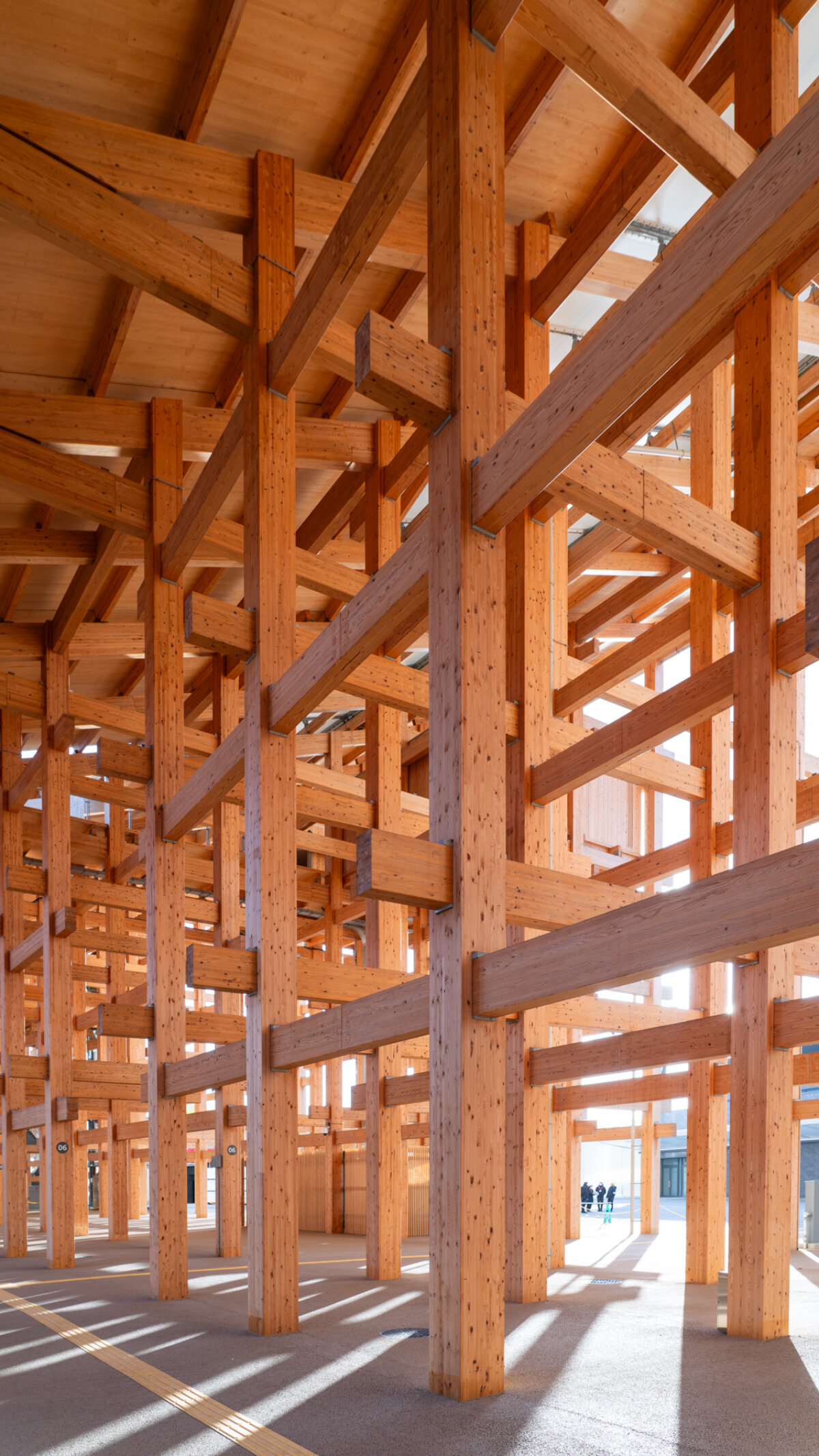 william mulvihill captures material intricacy of sou fujimoto’s grand ring at expo 2025 osaka