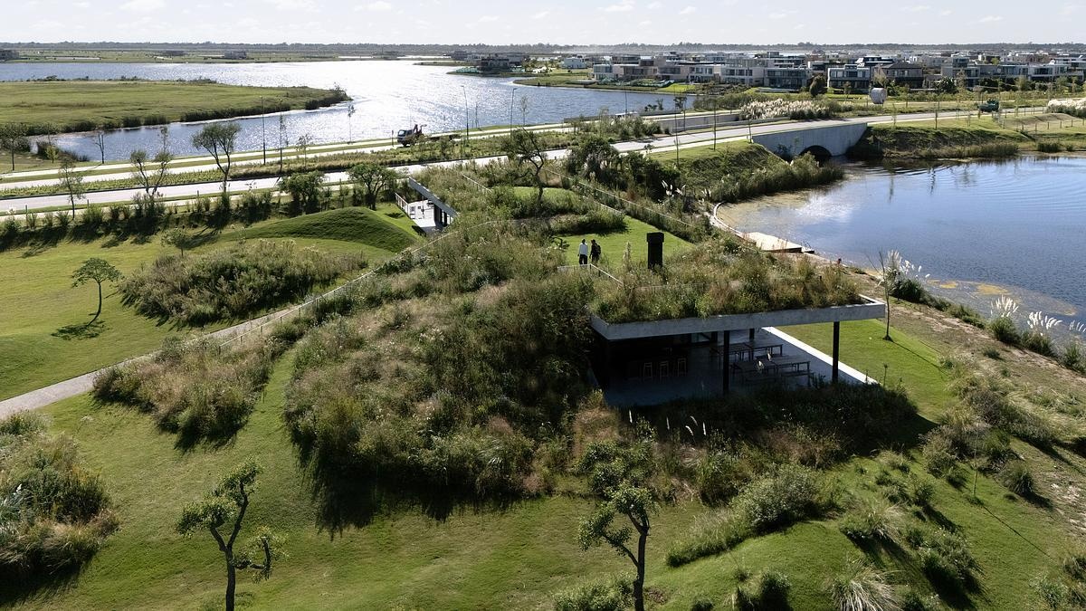 One of this project’s most striking features is its planted roof, which functions as both landscape and architecture. Instead of sitting on top of the building like an accessory, the green roof is woven into the terrain, folding down to meet the ground in a walkable ramp. This design move dissolves the boundary between natural and built, and subtly encourages people to interact with the space in ways that feel intuitive and playful.