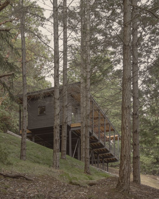 Trestle Cabin / Miller Hull Partnership - Exterior Photography, Wood, Forest