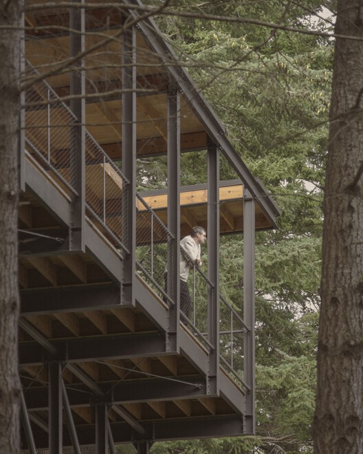 Trestle Cabin / Miller Hull Partnership - Interior Photography, Wood, Forest, Handrail