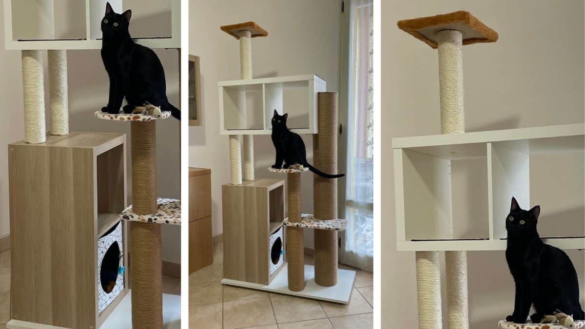 cat tree hack with IKEA kallax