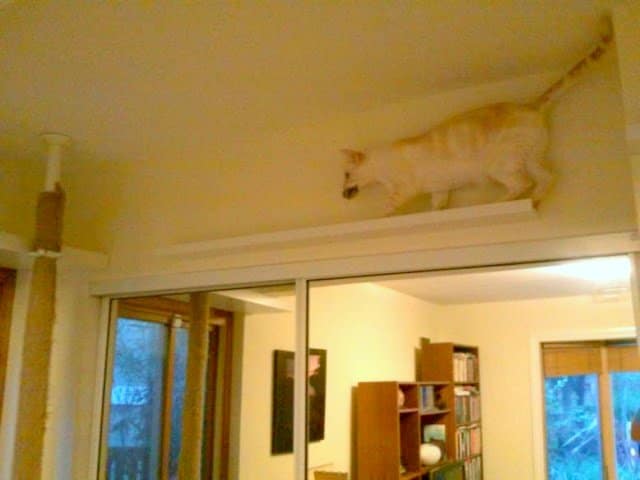 catwalk