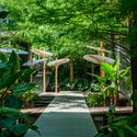 Structural Botany: 25AP-263-43 / Cheng Tsung FENG Design Studio - Image 3 of 20