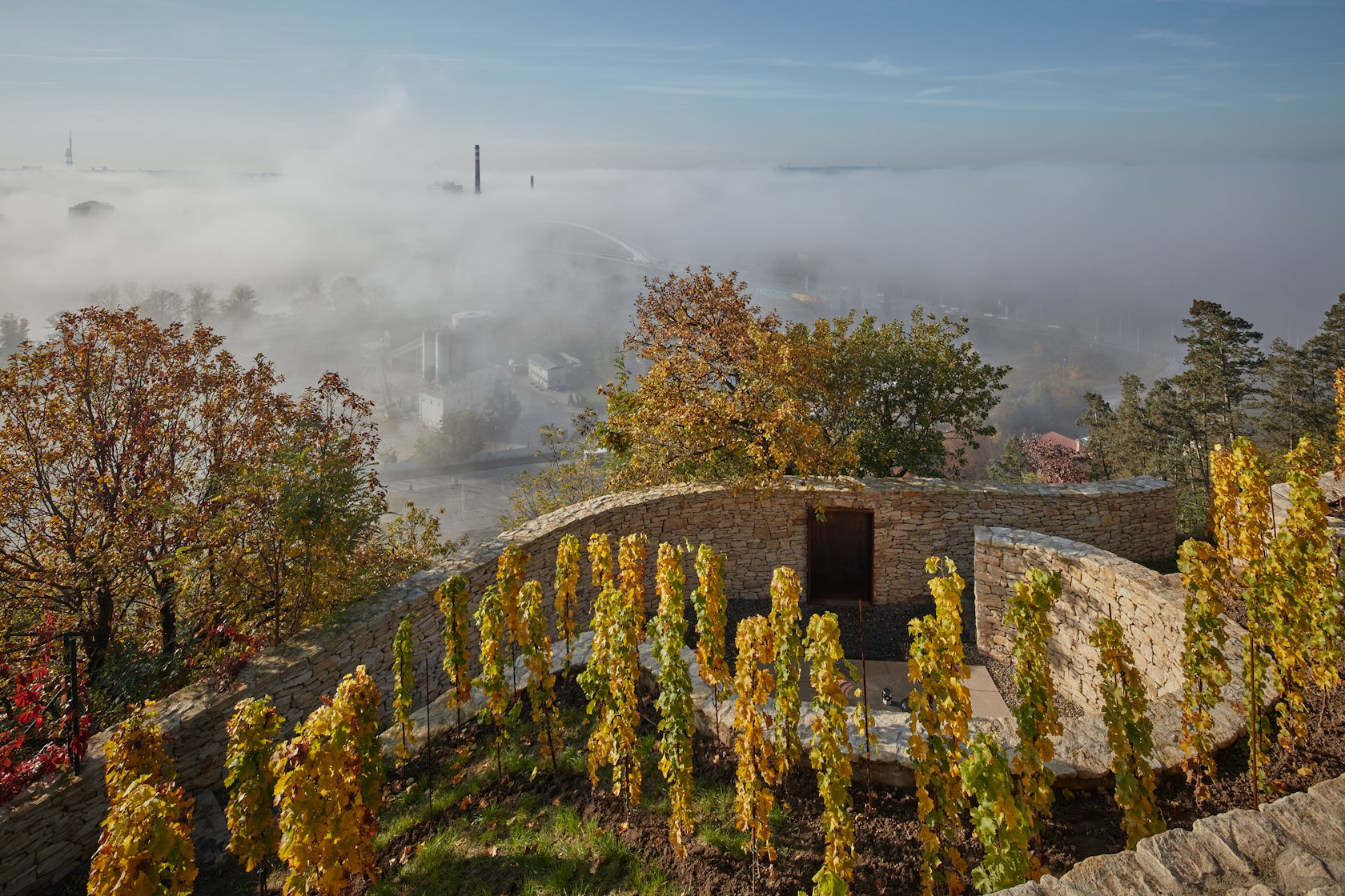 © Photography&Concept studio BoysPlayNice