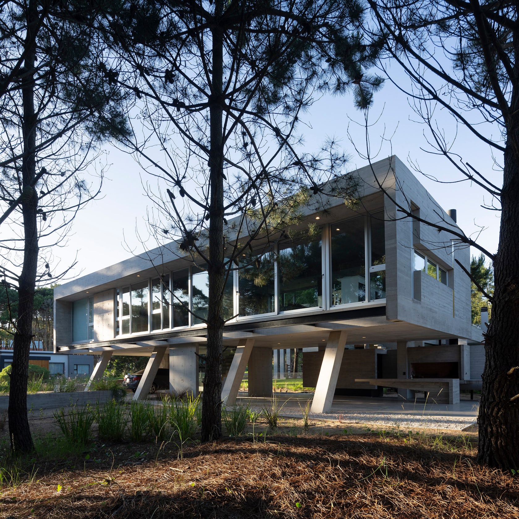 © Javier Agustín Rojas