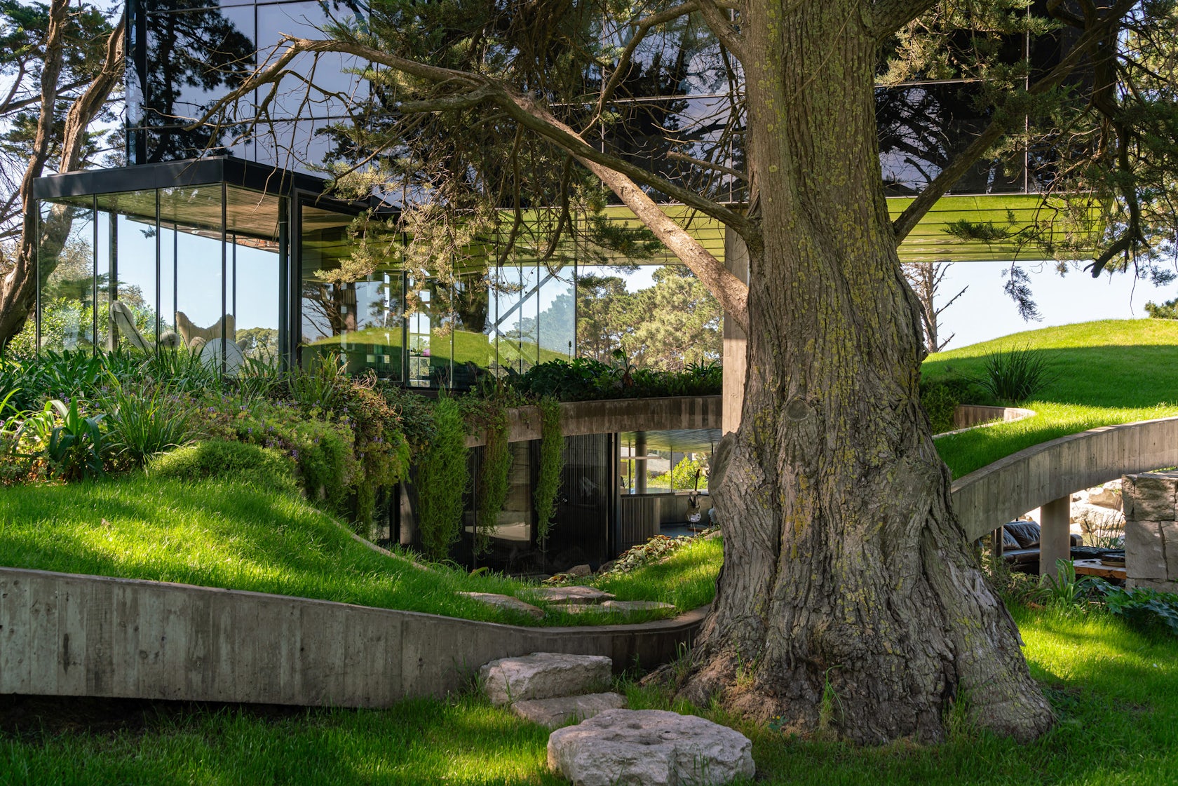 © TAM - Guillermo Elgart