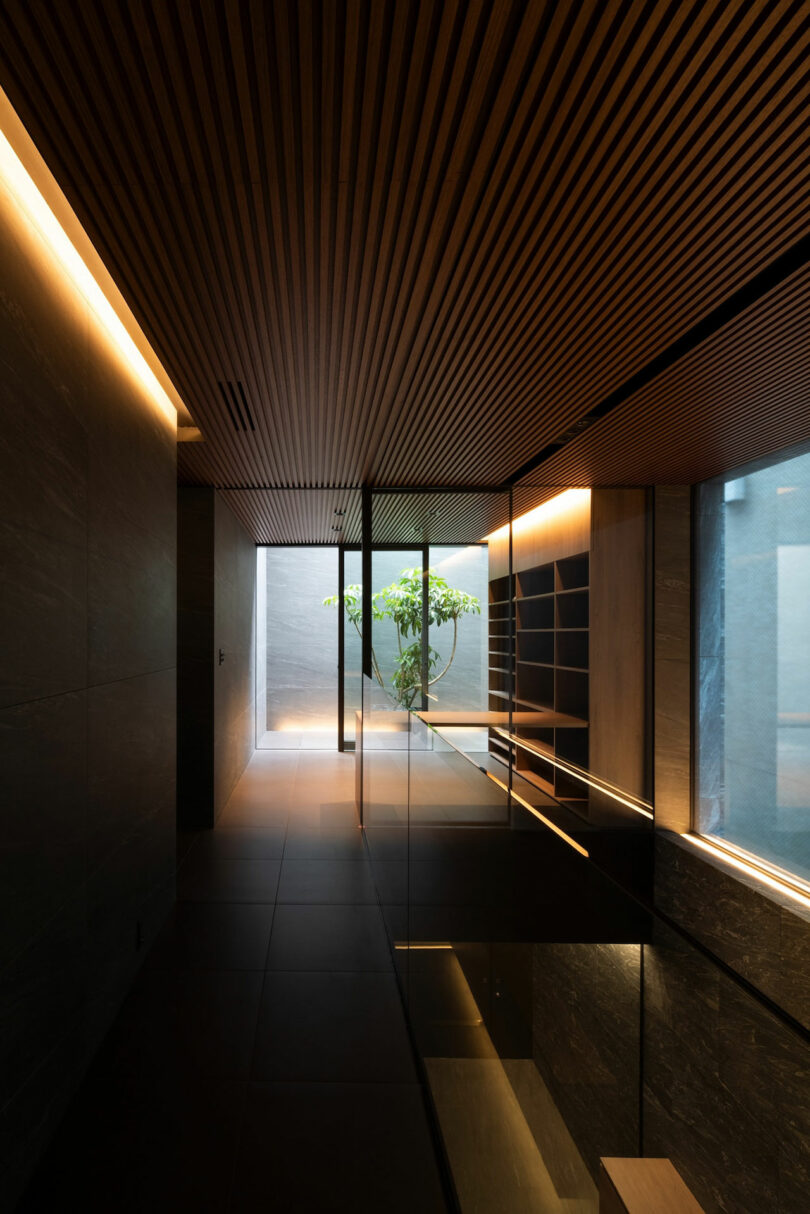 A modern, minimalist hallway with wood panel ceiling, glass walls, and a view of a small tree in an outdoor courtyard illuminated by natural light.