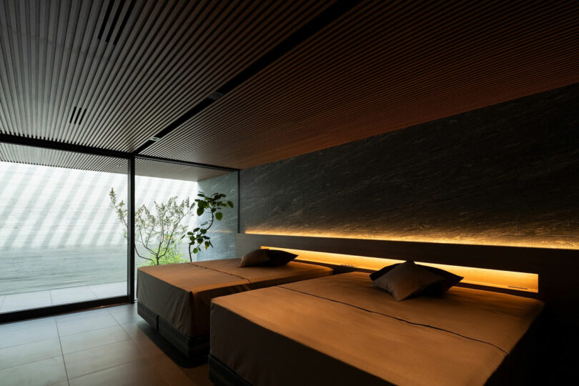 Modern spa room with two massage beds, soft lighting, wood slat ceiling, large window, and a small potted plant near the glass wall.