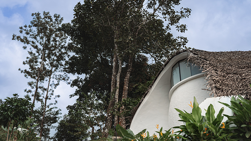organic shell roof made of thatch and mud tops sculptural eco-retreat in india