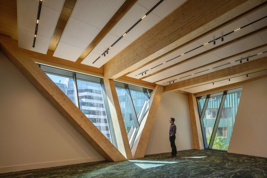 Forest carpet at Rubenstein Treehouse