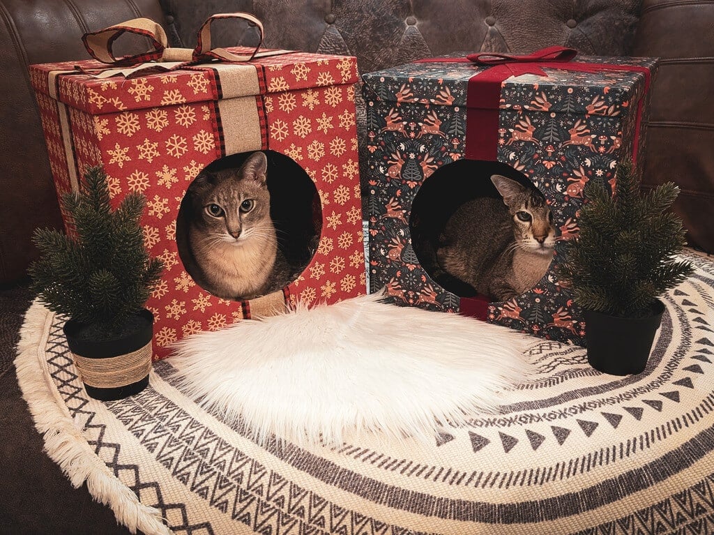 holiday pet bed