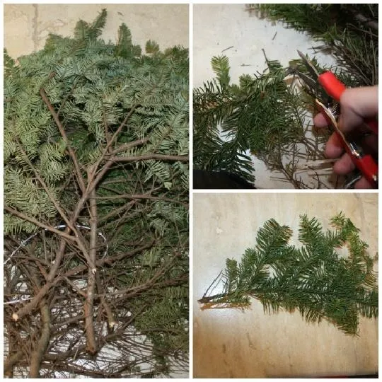 Freshly cut evergreen branches for crafting or decoration.