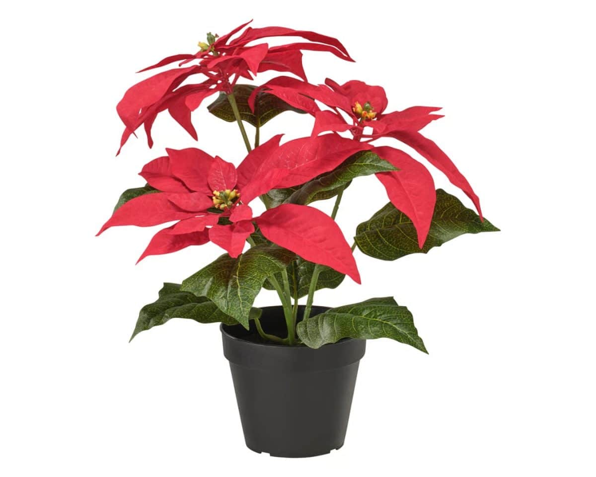 5 - IKEA Hackers Front porch christmas decor - VINTERFINT Potted Red Poinsettia