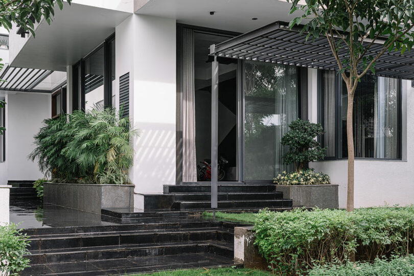 Modern house entrance with black tiled steps, large glass windows, plants, and a metal pergola, surrounded by green shrubs and trees.